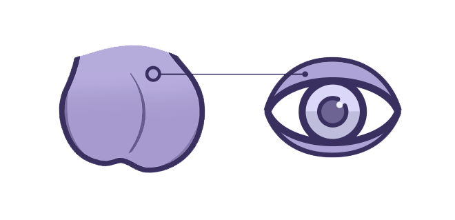 Zo kwetsbaar als oogleden